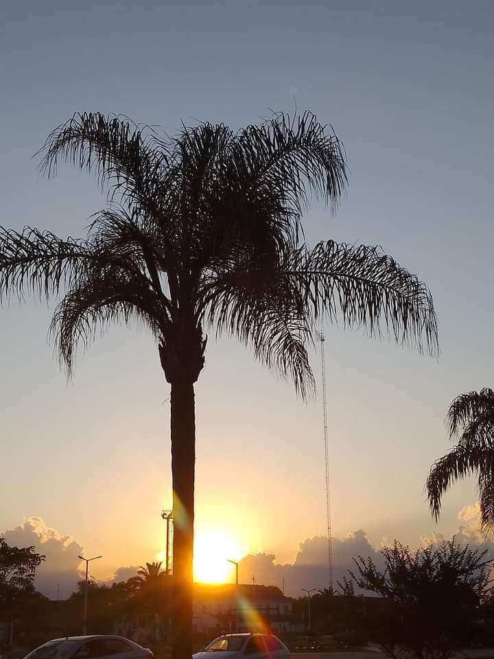 Un vistazo a la Realidad