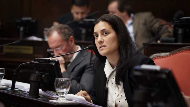 Reelecciones indefinidas: Sofía Vannelli votó en contra y volvió a marcar la posición del Frente Renovador