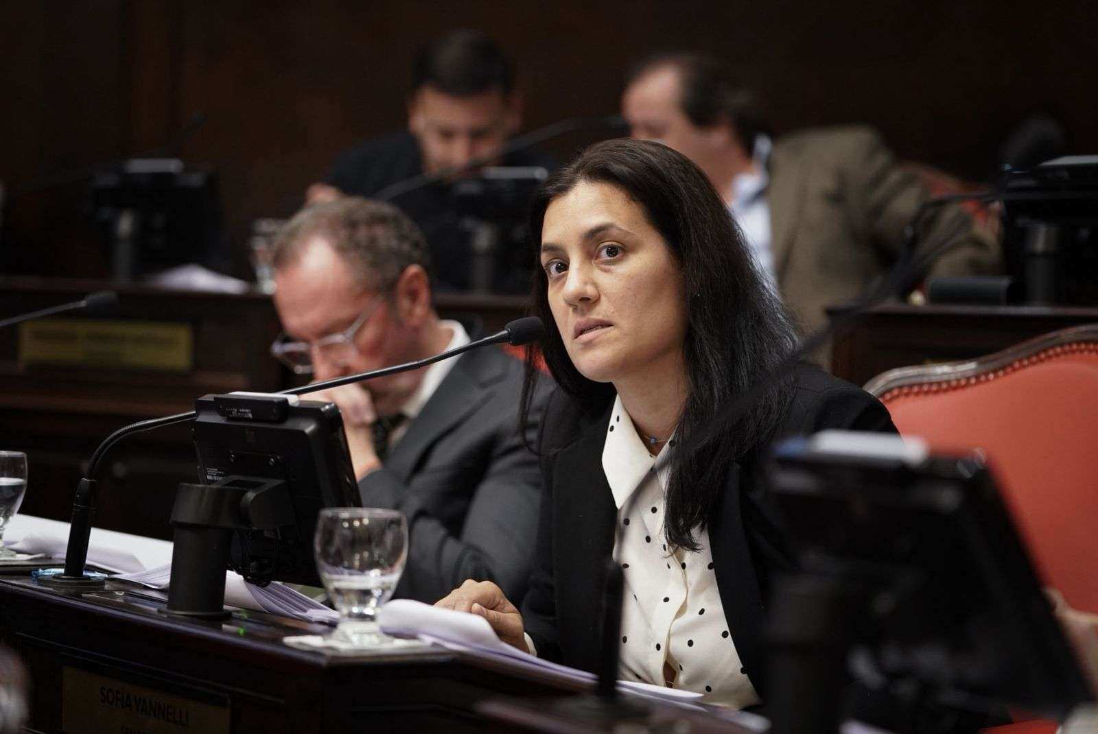 Reelecciones indefinidas: Sofía Vannelli votó en contra y volvió a marcar la posición del Frente Renovador