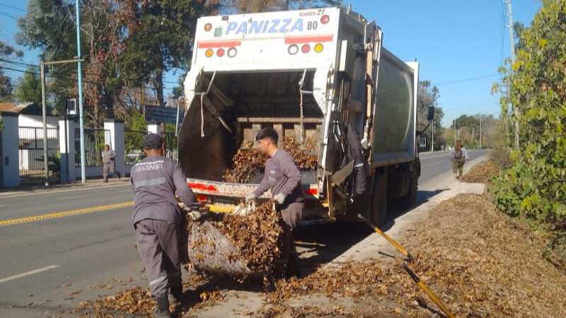 Escobar: Sistema municipal de recolección de ramas