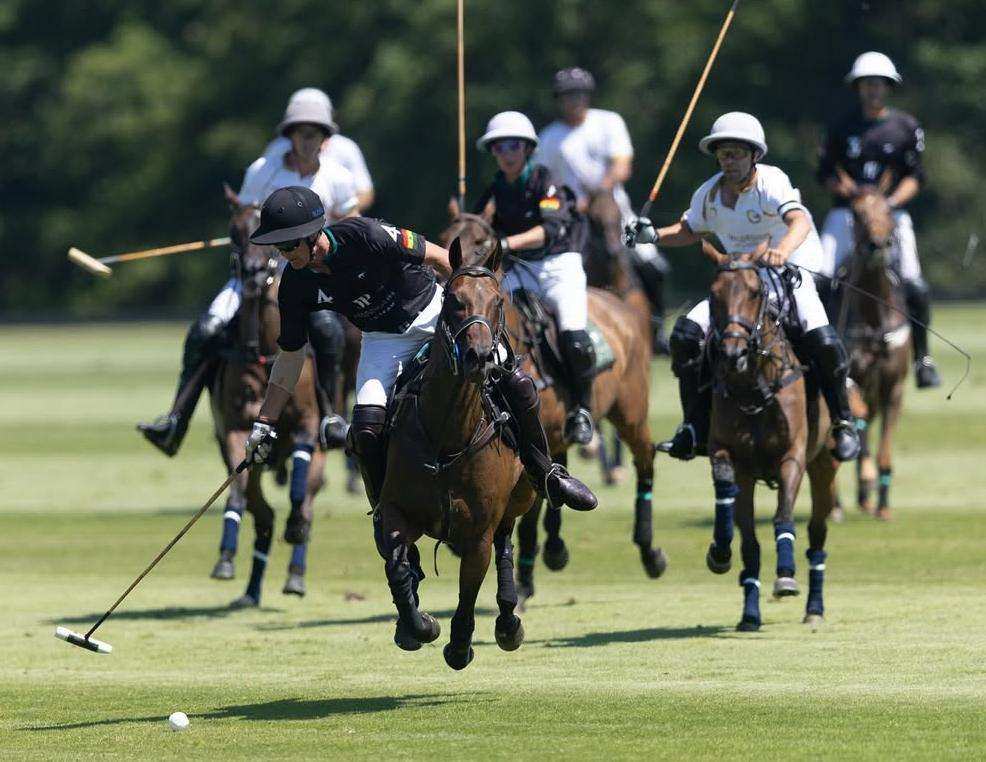 La Gold Cup avanza con sorpresas: Ferne Park, Jehangiri, Gaston y Signet ganaron en la segunda ronda