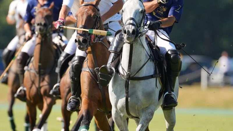 British Open 2025: definidos los cuartos de final tras una intensa jornada en Cowdray Park