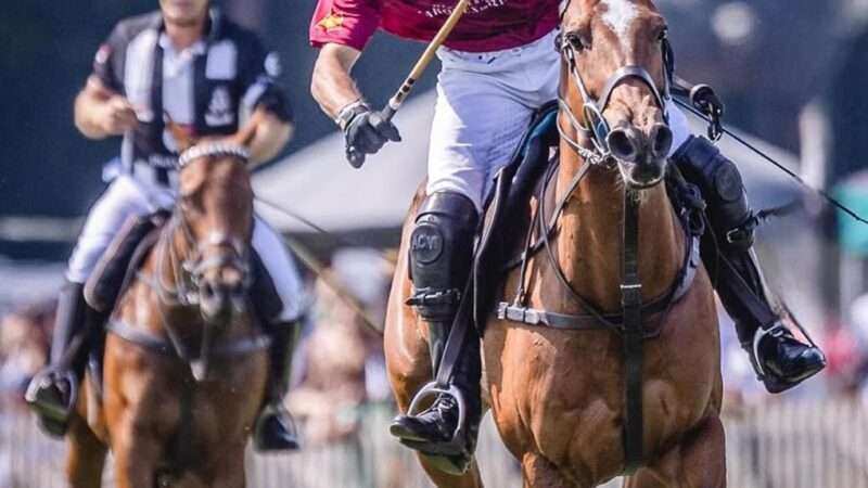 British Polo Open 2025: se definieron los semifinalistas con batacazos y un altísimo nivel