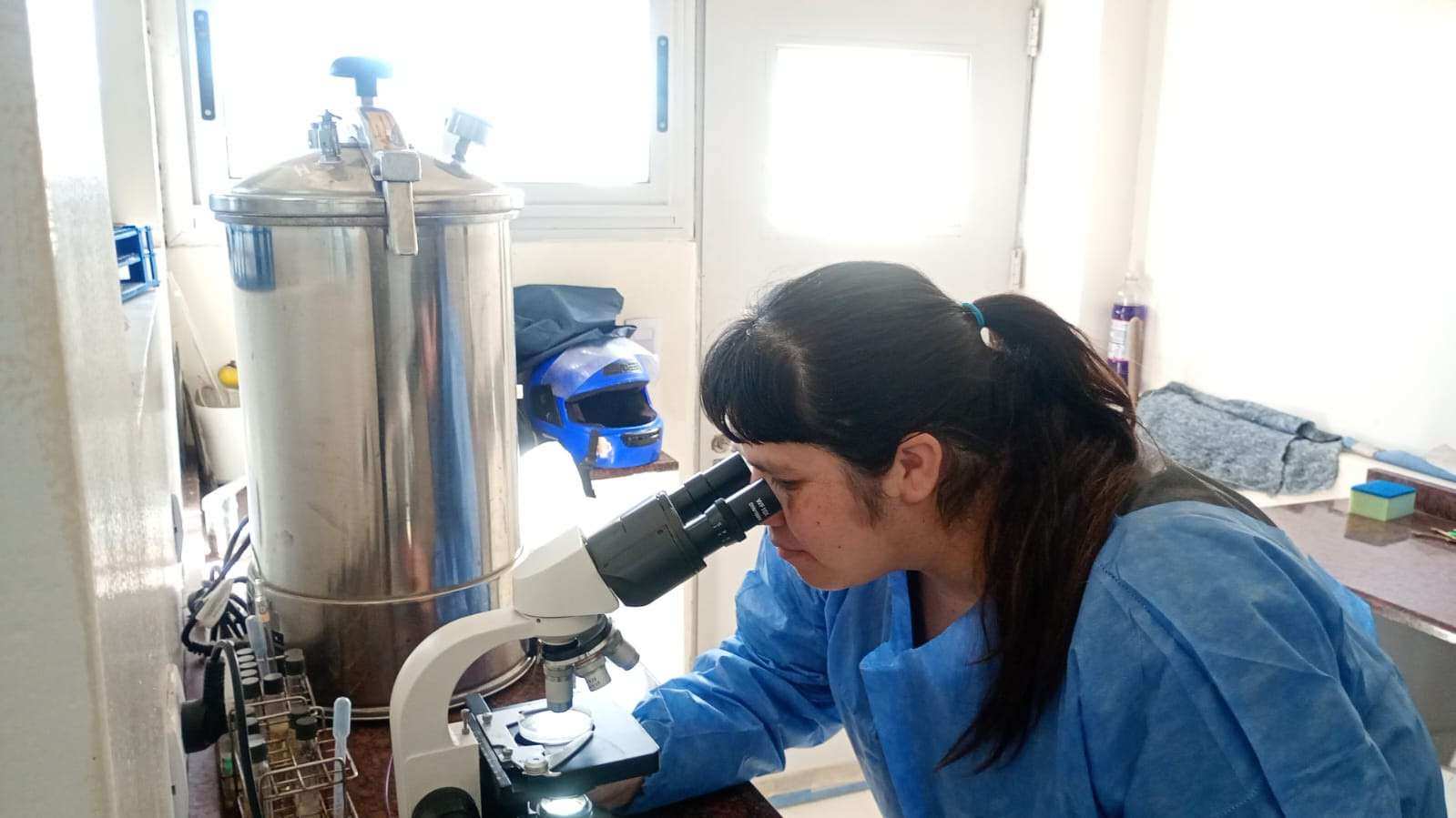 Triquinosis: ante el brote en la Provincia, Escobar refuerza la prevención