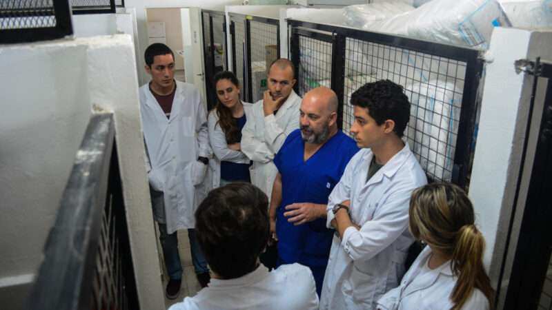 Centro de Zoonosis de Escobar: un modelo de salud pública que salva, cuida y transforma la vida de los animales