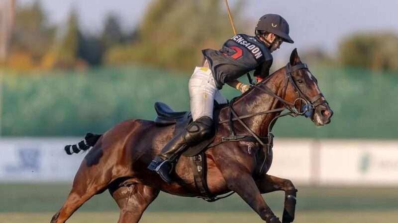 Sorpresa en Sotogrande: La Dolfina / Marqués de Riscal, eliminada de la final de la Copa de Plata; Amanara y Black Bears van por el título