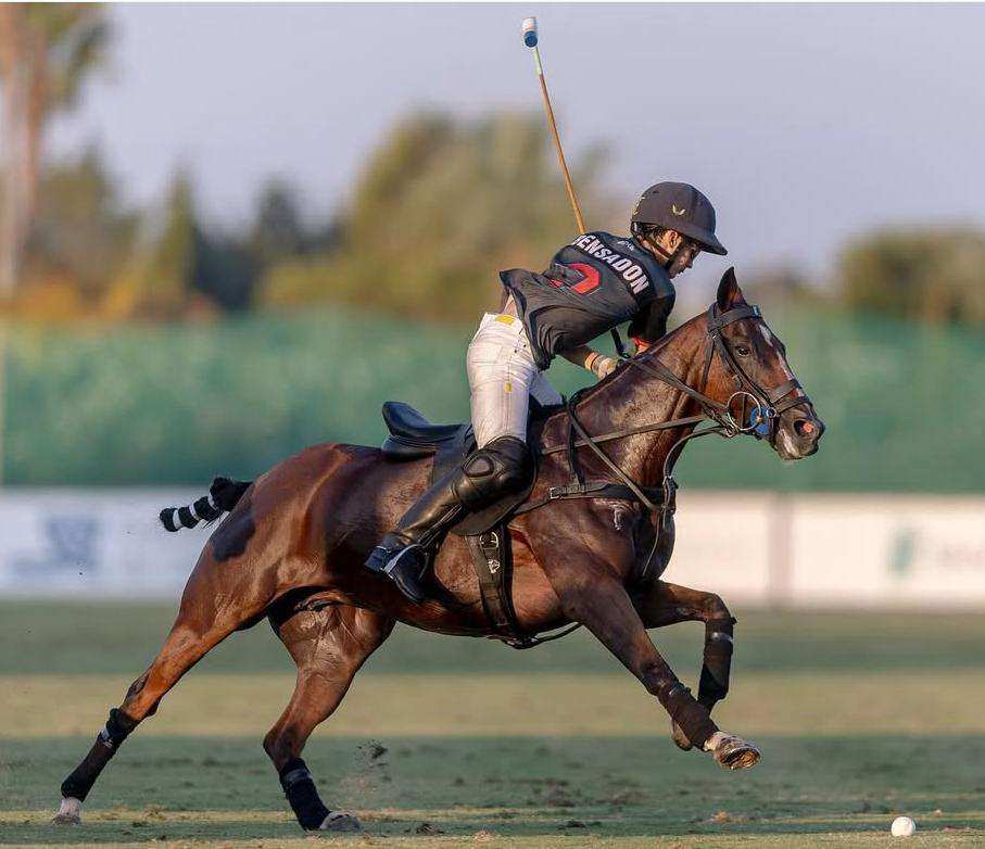 Sorpresa en Sotogrande: La Dolfina / Marqués de Riscal, eliminada de la final de la Copa de Plata; Amanara y Black Bears van por el título