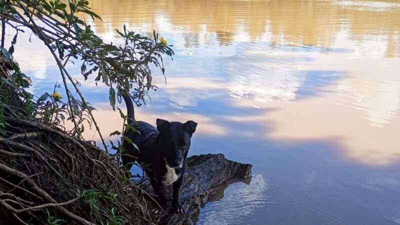 El Rio