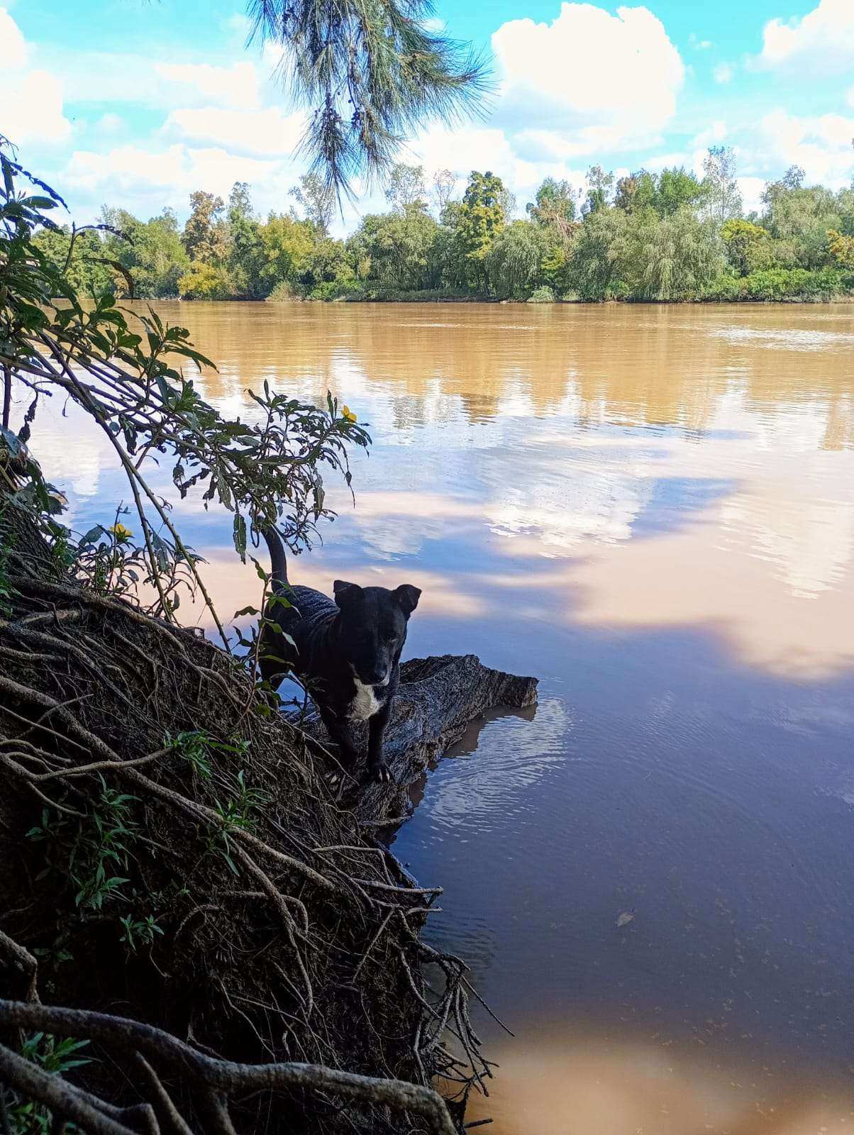 El Rio