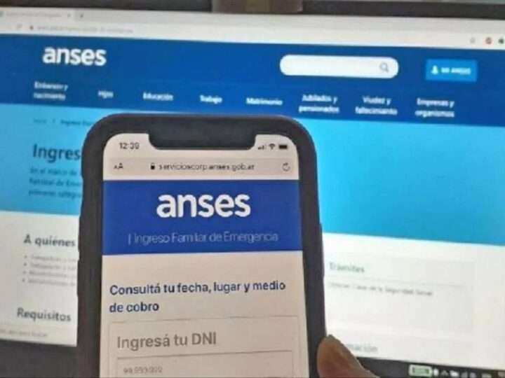 Cómo obtener el Comprobante de Empadronamiento a una Obra Social en la WEB de ANSES