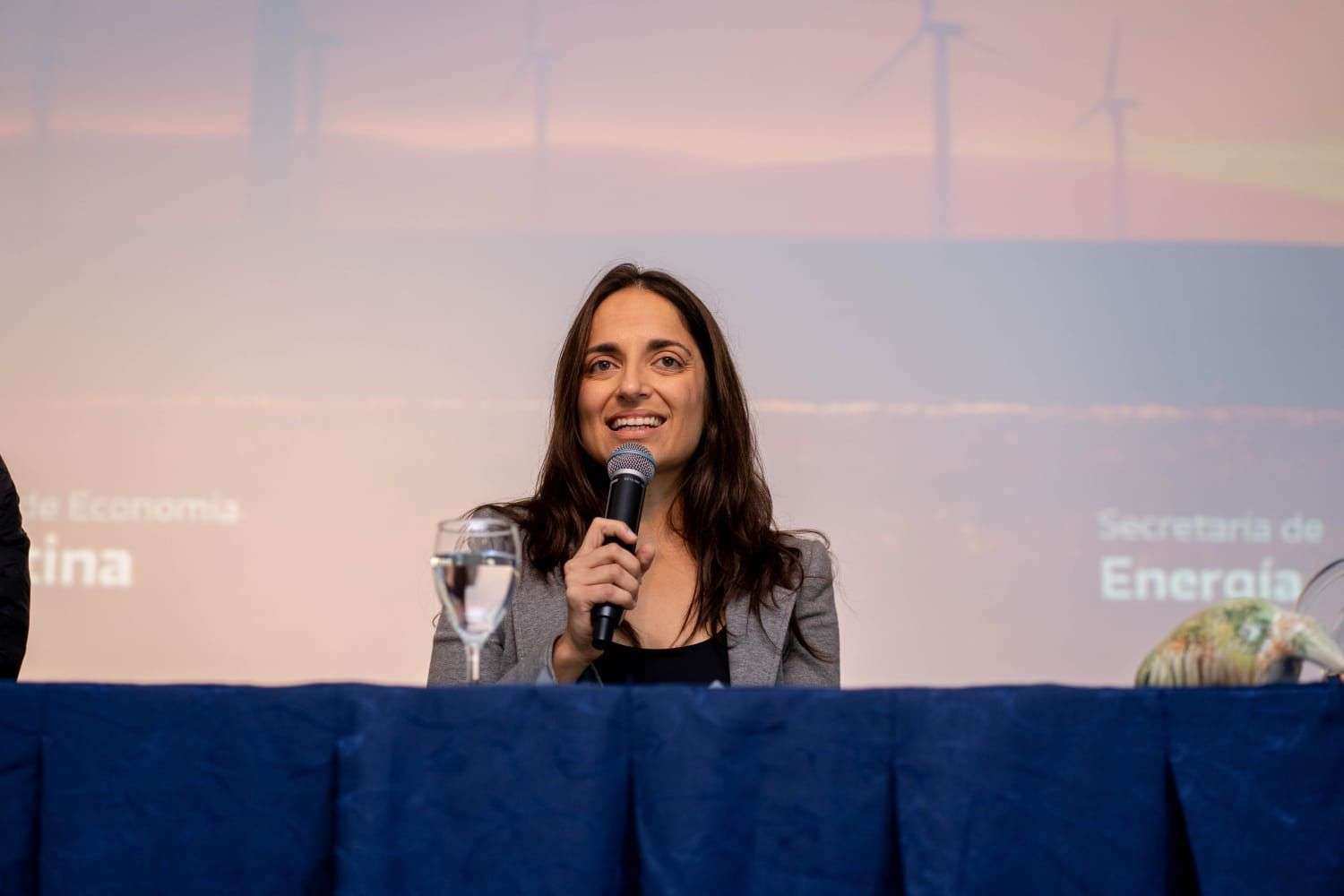 Cecilia Garibotti: “El bajo impacto de las grandes inversiones y la realidad económica opaca las expectativas del Gobierno de Milei”