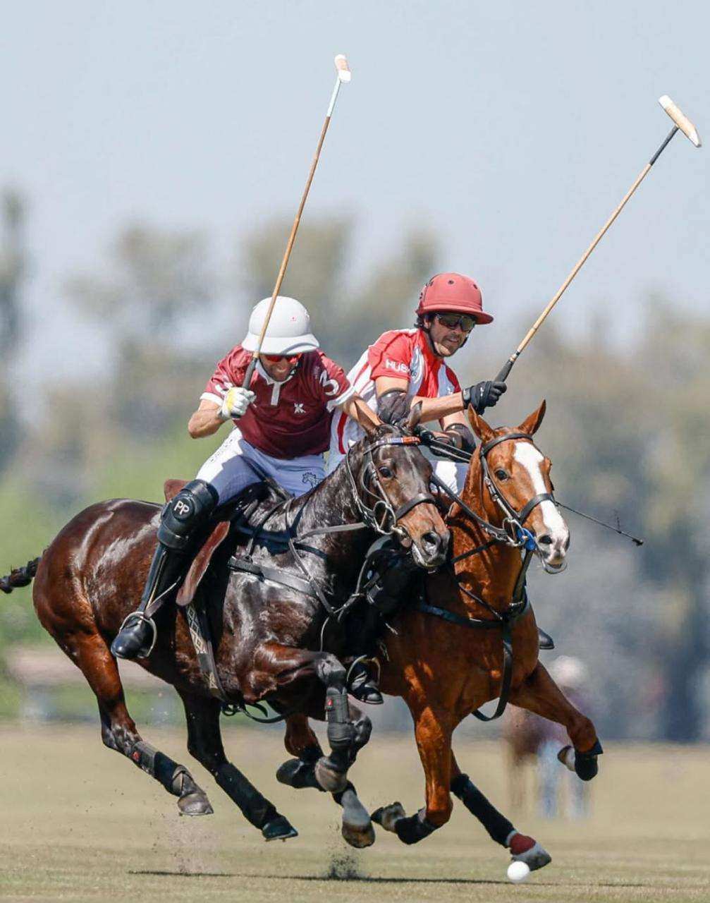 Abierto del Jockey Club 2025: Kazak, Scone y Pilot se suman a La Hache en semifinales