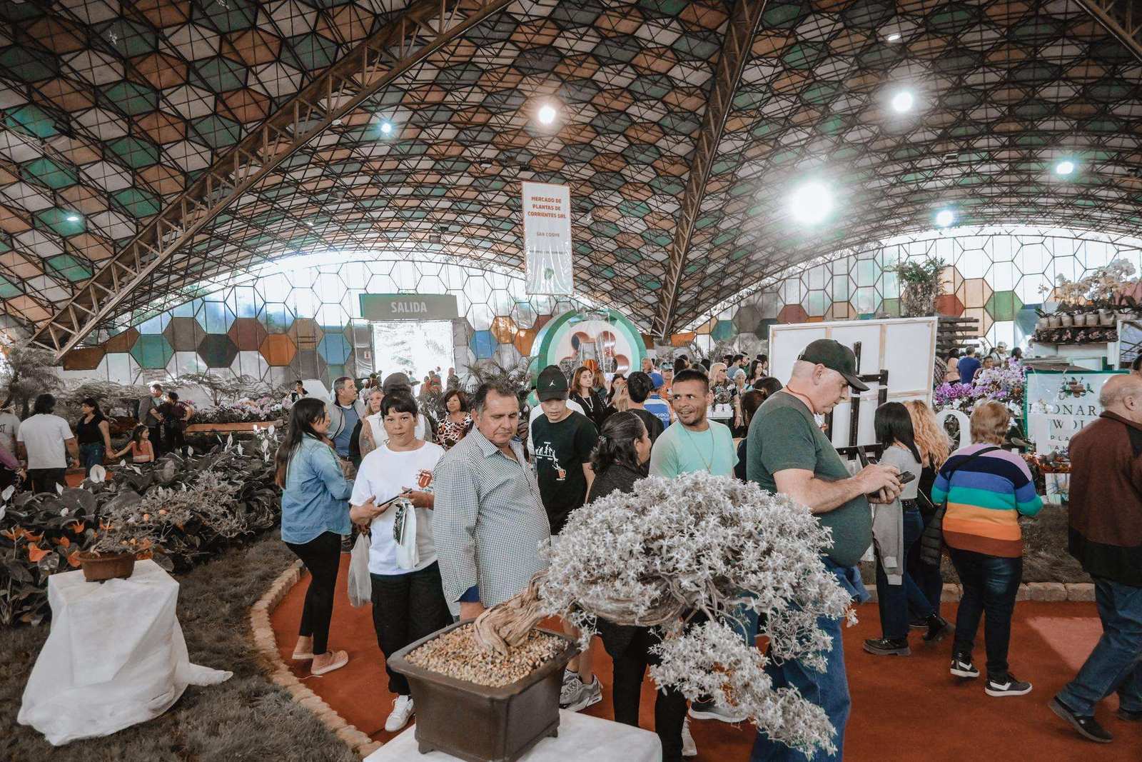 62ª Fiesta Nacional de la Flor: ya están a la venta las entradas con promociones especiales para vecinos de Escobar