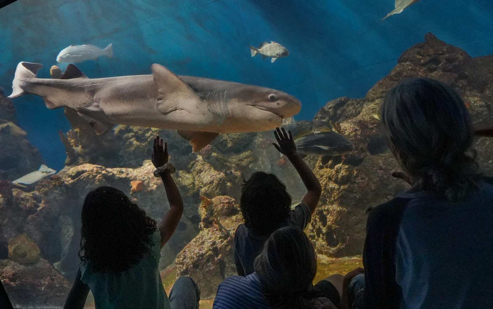 “Primavera en Temaikèn: naturaleza, colores y nuevas experiencias para toda la familia”