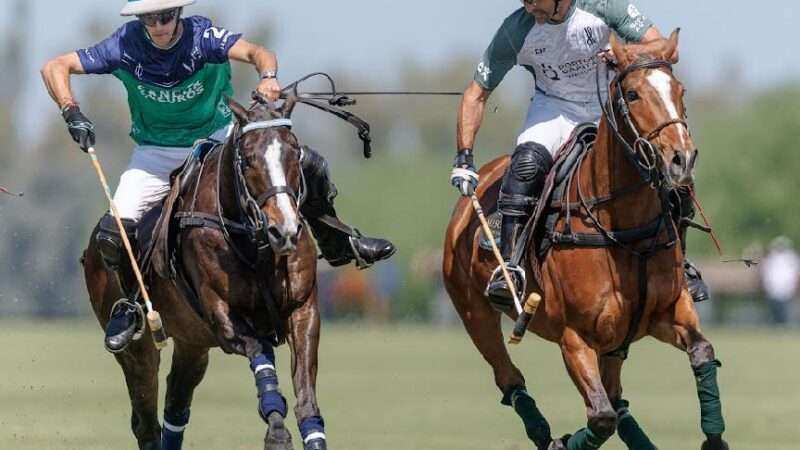 Polo de Alto Handicap