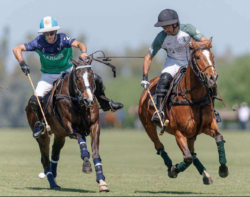 Polo de Alto Handicap