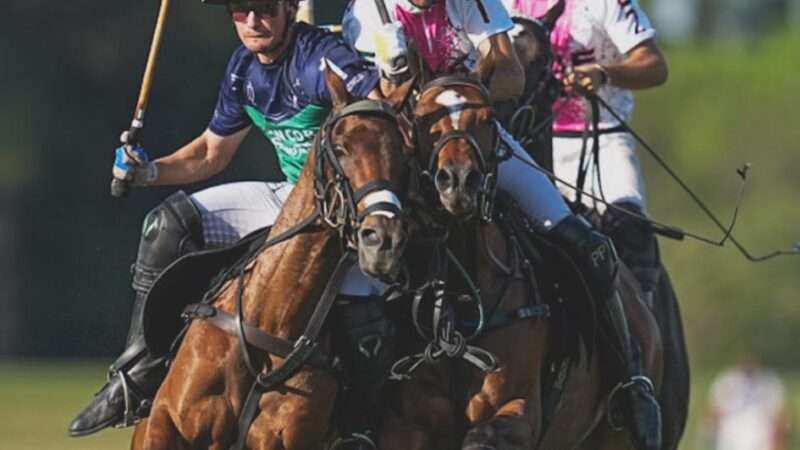 La Natividad / La Dolfina, campeón del 132º Abierto de Polo de Hurlingham 2025