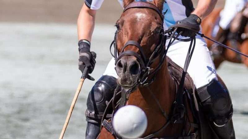 Argentina, invicta y semifinalista en el Segundo Mundial de Polo Arena EE.UU. 2025