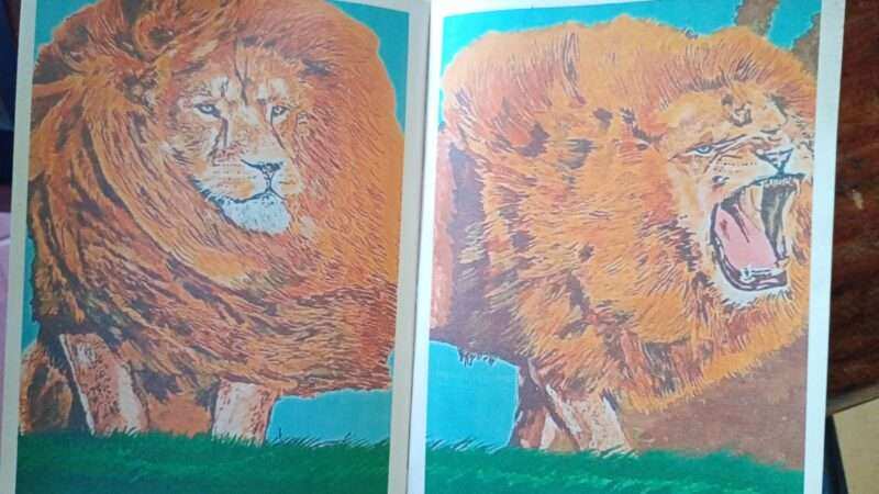 Animal Interno