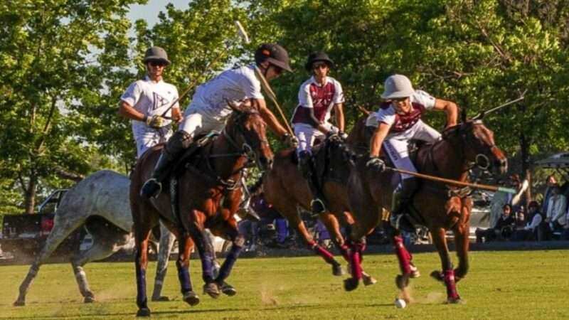 Todo listo para la gran definición del Torneo Clasificación Remonta y Veterinaria 2025