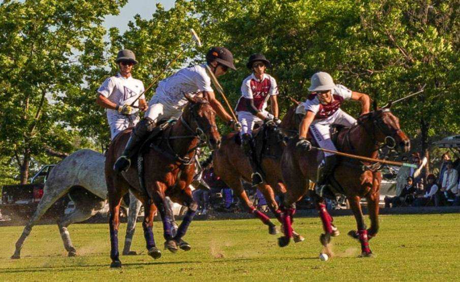 Todo listo para la gran definición del Torneo Clasificación Remonta y Veterinaria 2025