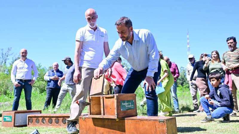 Emotiva liberación de aves silvestres nativas en la Reserva de Maschwitz