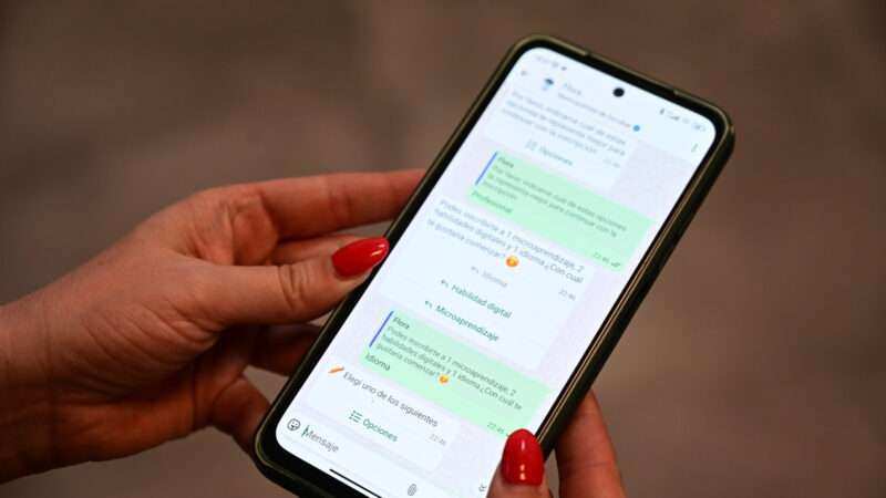 Flora: el chatbot del Municipio ya supera las 60 mil interacciones mensuales en Escobar