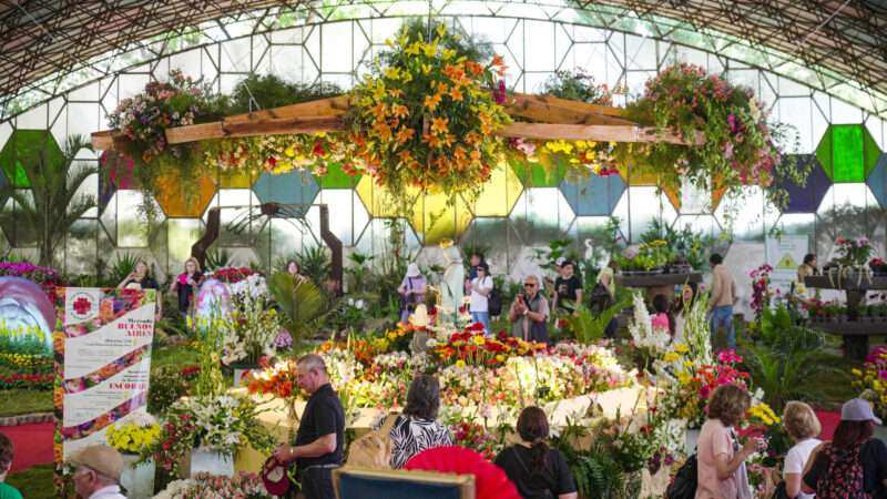 Atracciones, turistas y muchas ventas durante el fin de semana en la Fiesta Nacional de la Flor