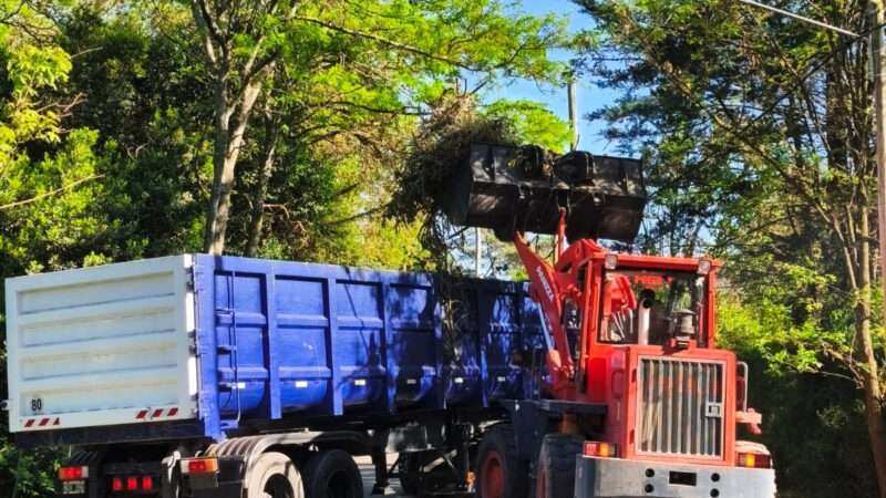 Escobar: sistema municipal de recolección de ramas