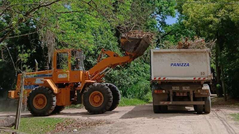 Escobar: sistema municipal de recolección de ramas