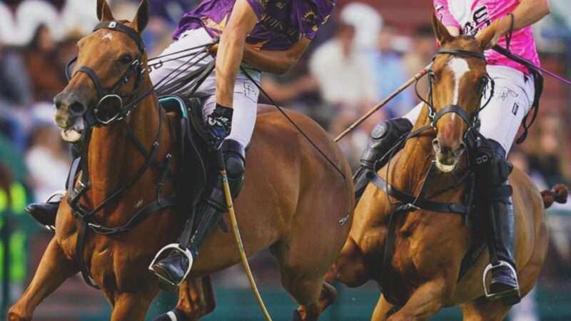 Segunda fecha del 132° Abierto Argentino de Polo: victorias contundentes y sorpresas esperables en Palermo