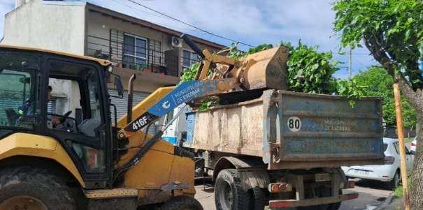 Escobar: sistema municipal de recolección de ramas