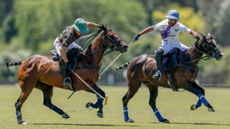 Todo listo para las semifinales de la Copa Cámara de Diputados 2025
