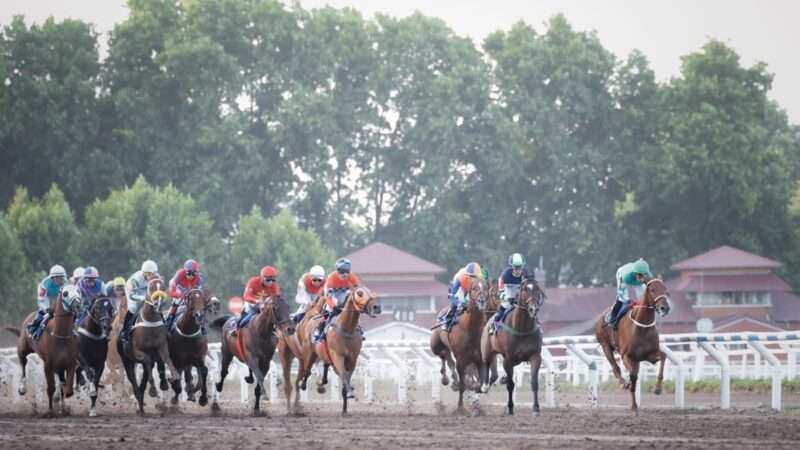 Kicillof asistió al Gran Premio Internacional Dardo Rocha en el Hipódromo de La Plata