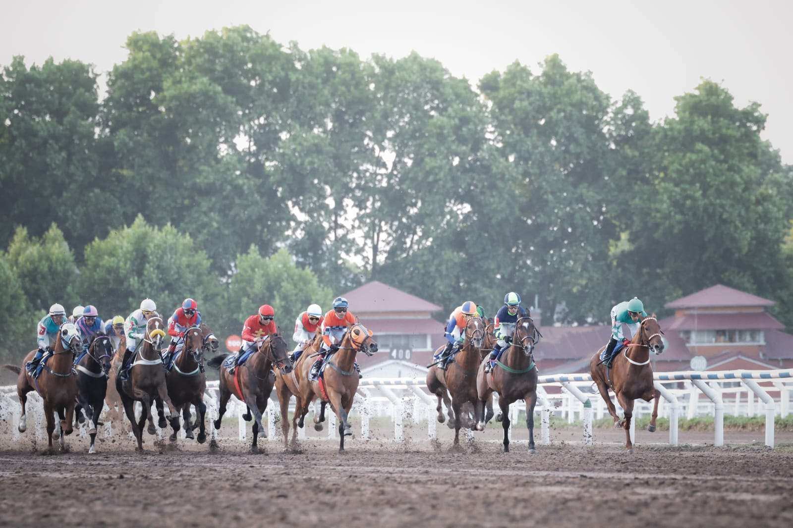 Kicillof asistió al Gran Premio Internacional Dardo Rocha en el Hipódromo de La Plata