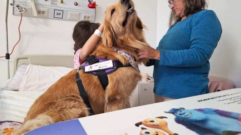 Los perros que traen juego y ternura al Hospital de Niños