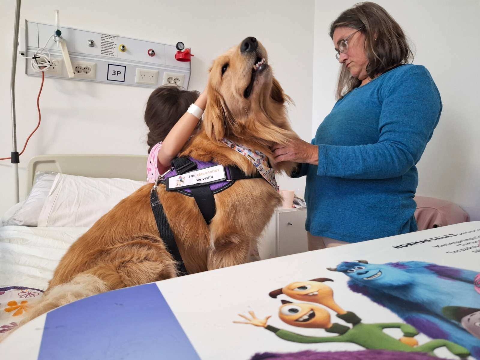 Los perros que traen juego y ternura al Hospital de Niños