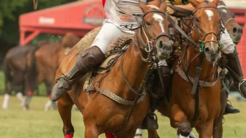 San Patricio, campeón de la Copa República Argentina 2025 y finalista del 83º Abierto Argentino de Pato