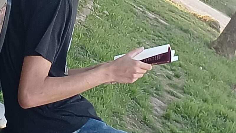 “El Psicoanalista”