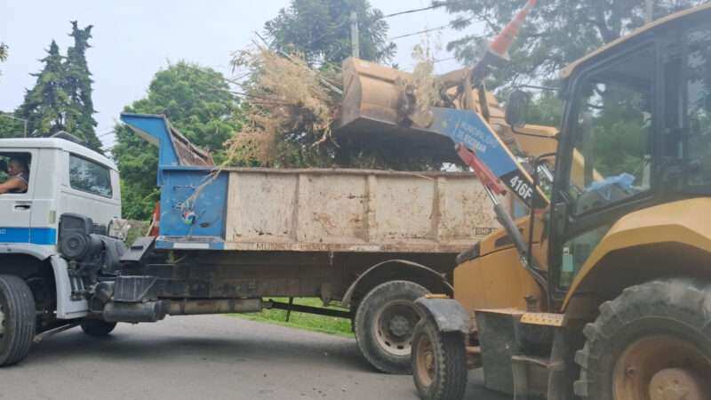 Escobar: Sistema municipal de recolección de ramas