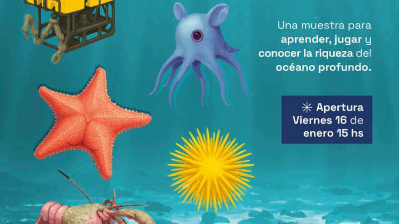 La Provincia inaugura la muestra “Vidas submarinas – Ciencia, arte y soberanía” en el Museo MAR de la ciudad de Mar del Plata