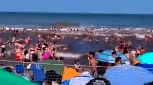 Tragedia en Santa Clara del Mar: una ola gigante arrastró y mató a una persona