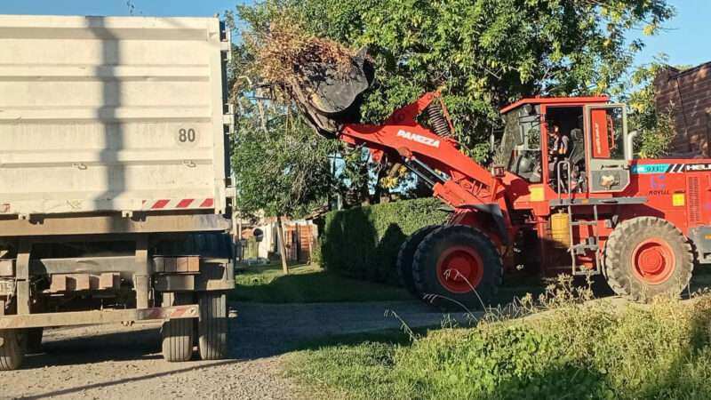 Escobar: sistema municipal de recolección de ramas