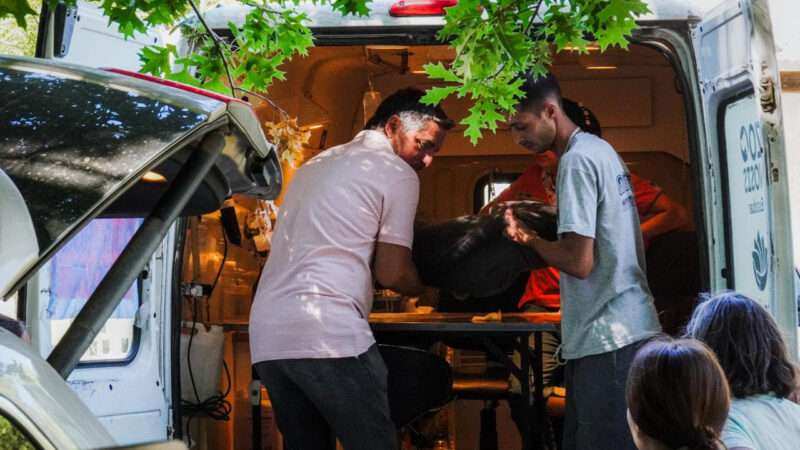 Zoonosis en los barrios: la Municipalidad de Escobar realiza 33 operativos gratuitos por mes