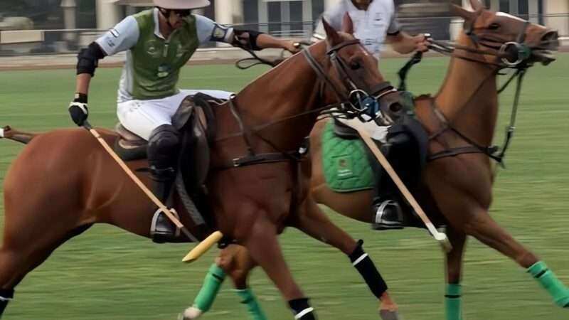 Definidos los semifinalistas de la 16ª Dubai Polo Gold Cup 2026 🇦🇪
