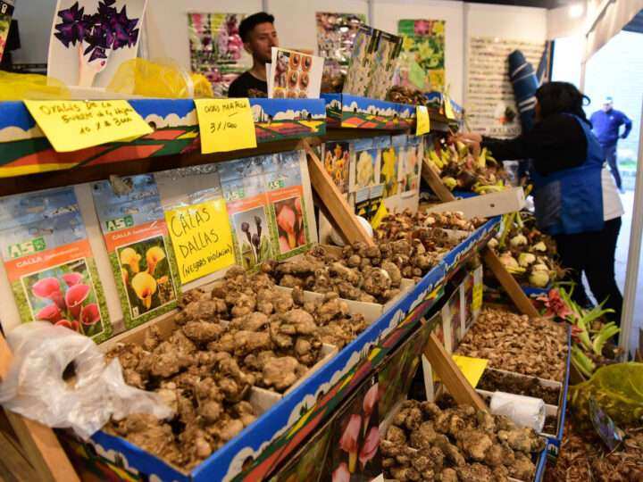 El Mercado de Productos Familiares vuelve a Belén de Escobar