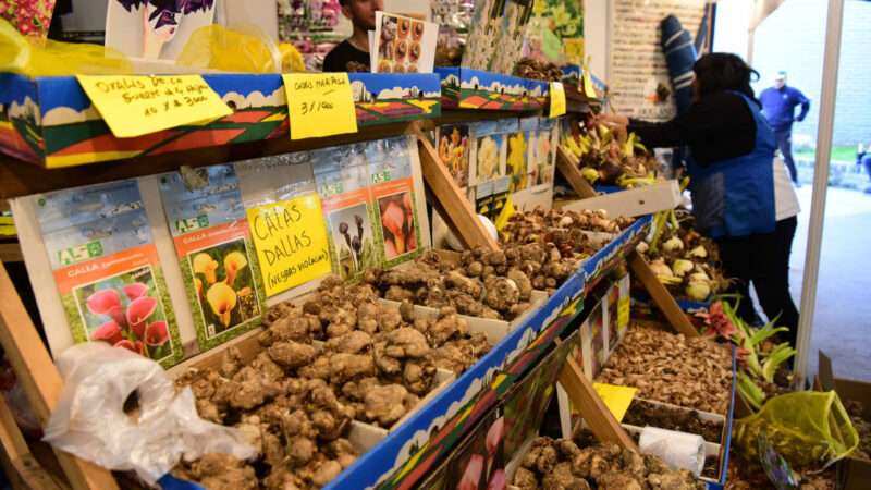 El Mercado de Productos Familiares vuelve a Belén de Escobar