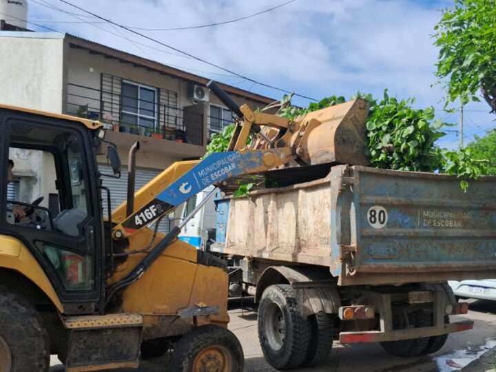 Escobar: sistema municipal de recolección de ramas