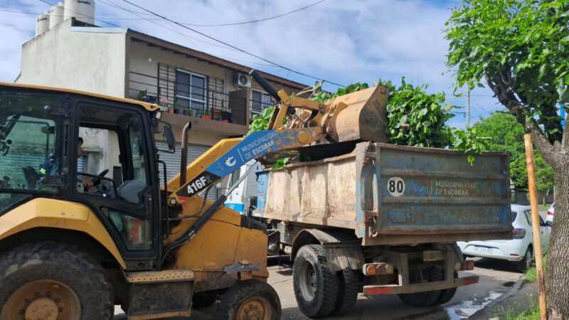 Escobar: sistema municipal de recolección de ramas