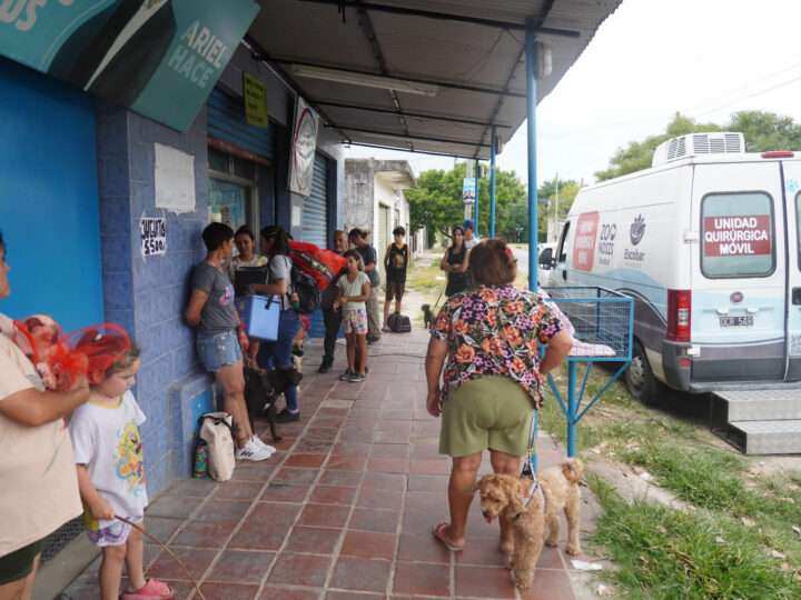 Zoonosis: jornadas gratuitas de castración y vacunación 